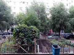 红旗新区 