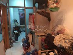 阳光绿色家园 