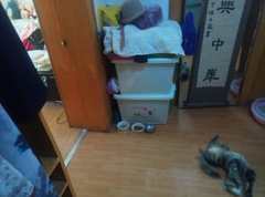 红旗新区 