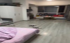 滨才星城 